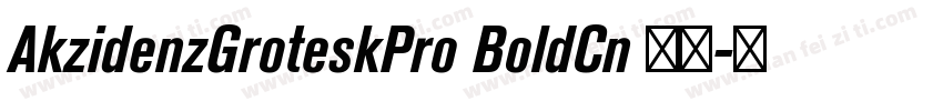 AkzidenzGroteskPro BoldCn 粗体字体转换
